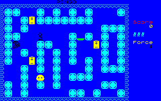 Pingo — ss (WOR)