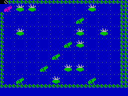 Frogs — ss (EU)
