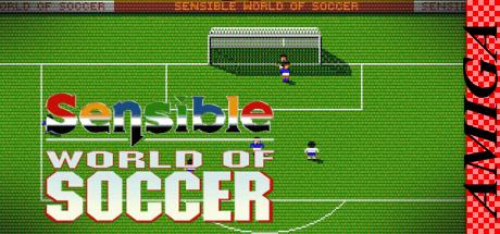 Sensible World of Soccer — steamgrid