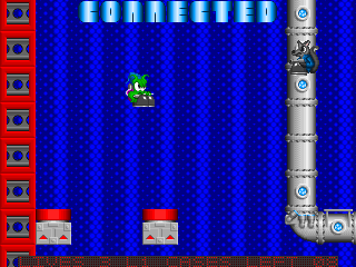 Calamari Cubes II — ss (WOR)