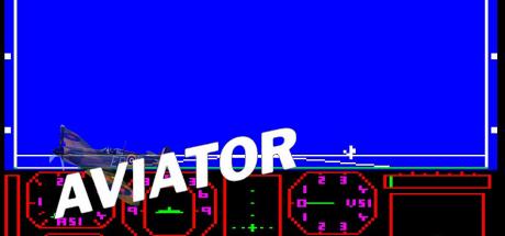 Aviator - Color — steamgrid