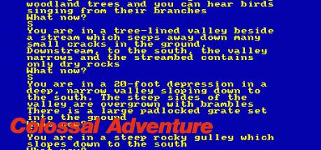 Colossal Adventure — steamgrid