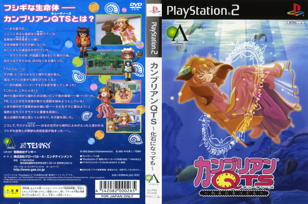 Cambrian QTS - Kaseki ni Natte mo — box-texture (JP)