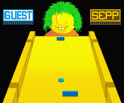Shuffle Puck — ss (WOR)