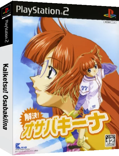 Kaiketsu! Osabakiina — box-3D (JP)