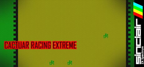 Cactuar Racing Extreme — steamgrid