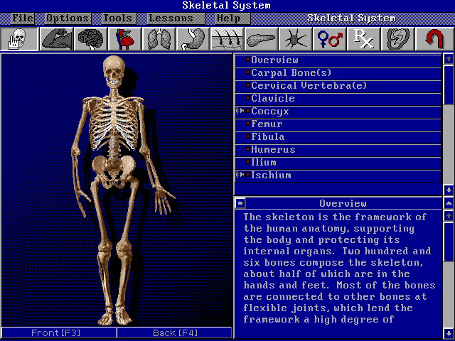 Bodyworks 3.0 — ss (WOR)