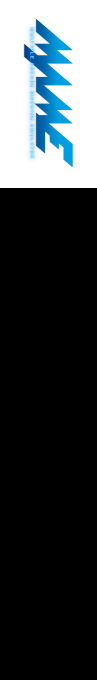 Multi Champ Deluxe — box-2D-side (WOR)