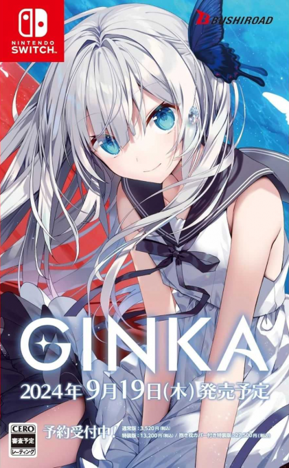 Ginka box art