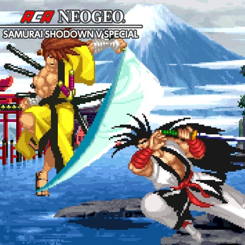 Aca Neogeo Samurai Shodown V Special — support-texture (CUS)