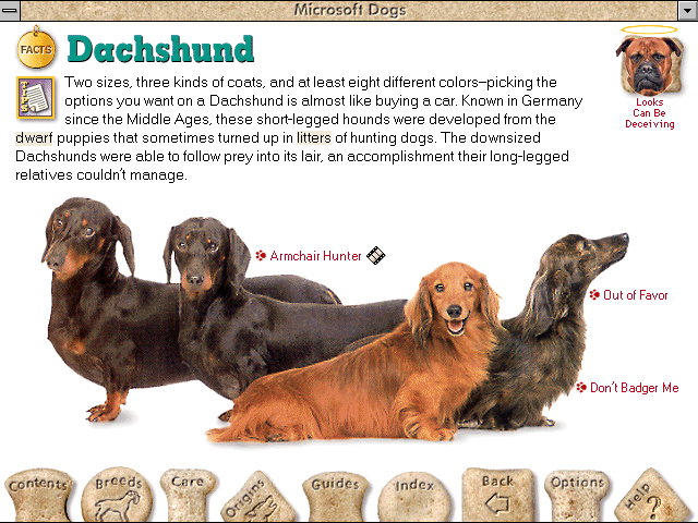 Microsoft Dogs — ss (WOR)