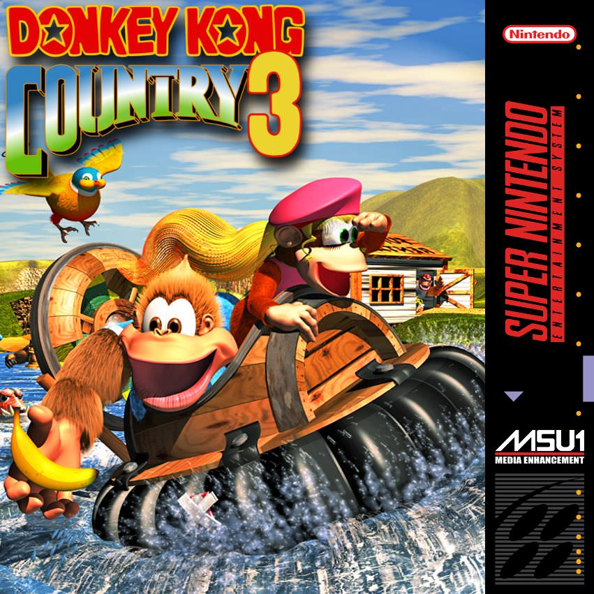 Donkey Kong Country 3 : Dixie Kong's Double Trouble! box art