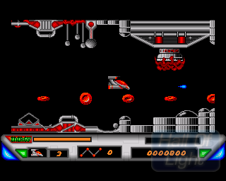 DNA Warrior — ss (WOR)