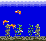 Aqualife — ss (WOR)