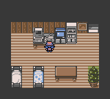Pokemon 2004 — ss (WOR)