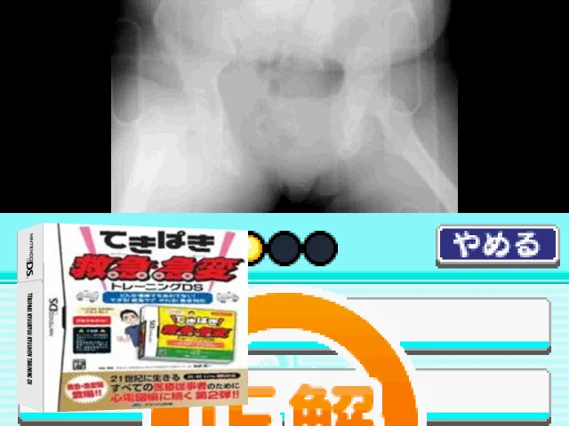 Tekipaki Kyuukyuu Kyuuhen Training DS — mixrbv2 (JP)