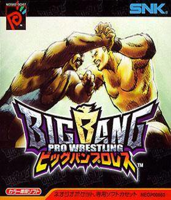 Wrestling Madness box art