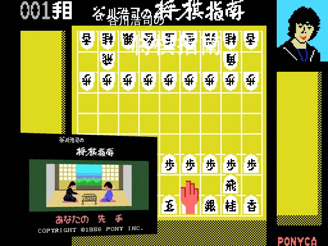 Tanigawa Kouji no Shogi Shinan — mixrbv2 (JP)
