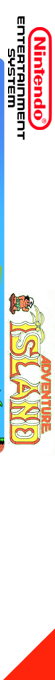 Adventure Island — box-2D-side (FR)