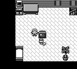 Pokémon - Pink Version — ss (FR)