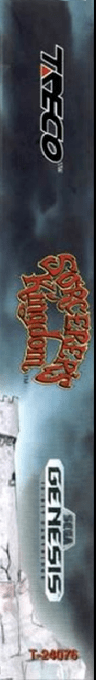 Sorcerer's Kingdom — box-2D-side (US)