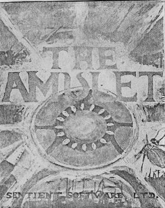 The Amulet box art
