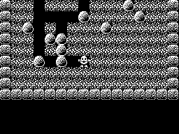 Dizzy Dash — ss (WOR)