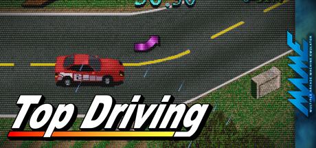 Top Driving — steamgrid