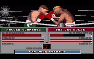TV Sports Boxing — ss (WOR)