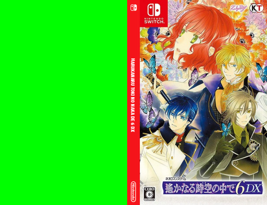 Harukanaru Toki No Naka De 6 Dx — box-texture (JP)