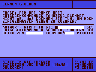 Fuehrerschein — ss (DE)