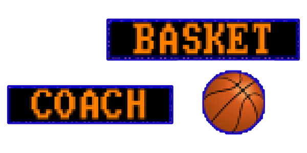 Basket Coach — wheel (EU)