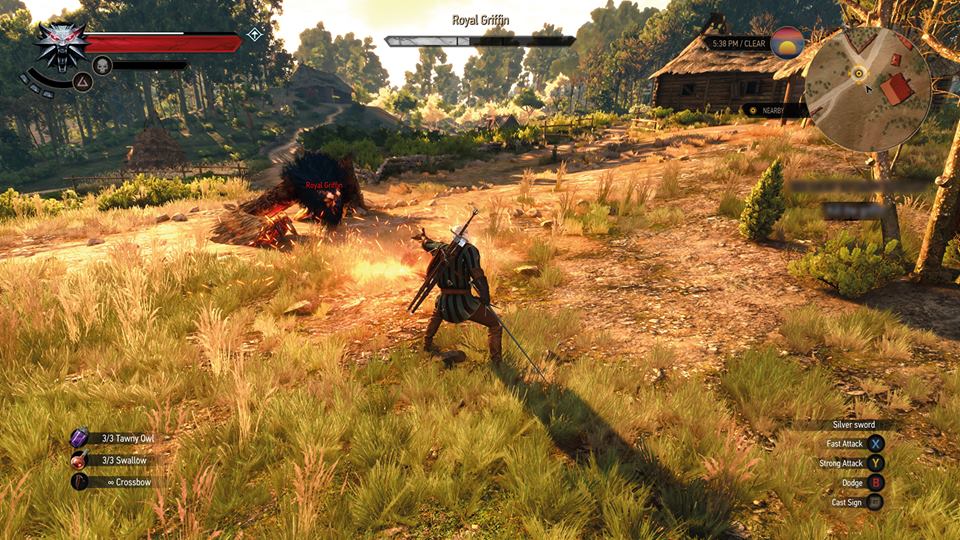 The Witcher 3: Wild Hunt — ss (WOR)