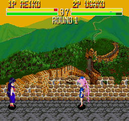 Bishoujo Senshi Lady Fighter — ss (WOR)
