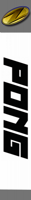Pong — box-2D-side (SS)