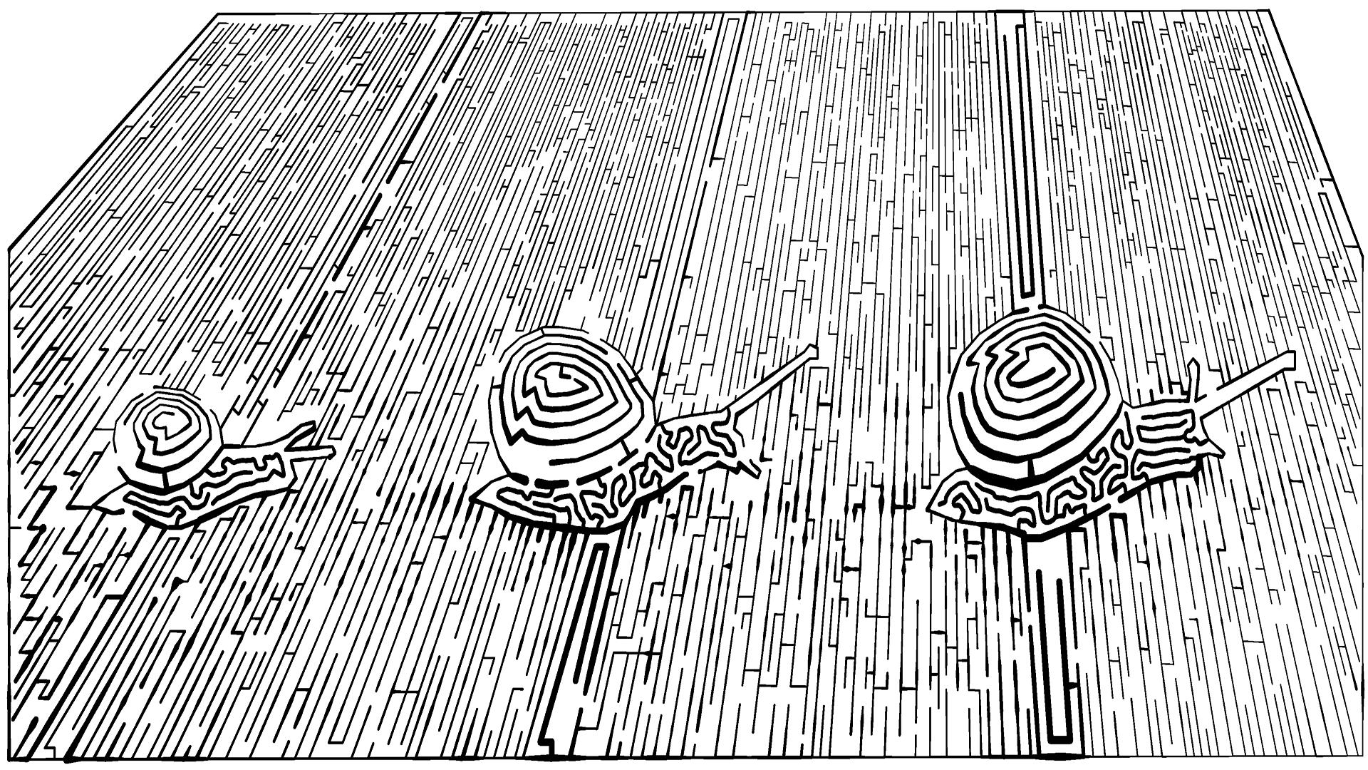 Snail Maze — fanart