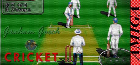 Graham Gooch World Class Cricket Test Match Special Edition — steamgrid