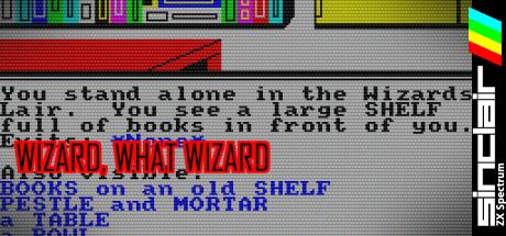 Wizard, What Wizard — steamgrid