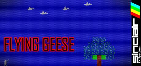Flying Geese — steamgrid