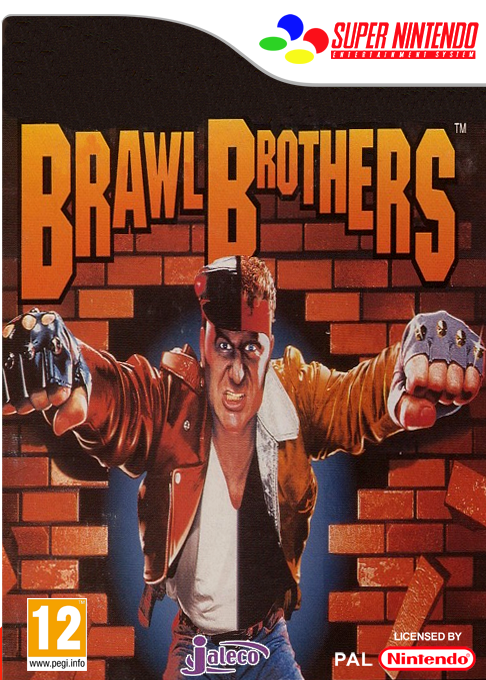 Brawl Brothers — box-2D (FR)
