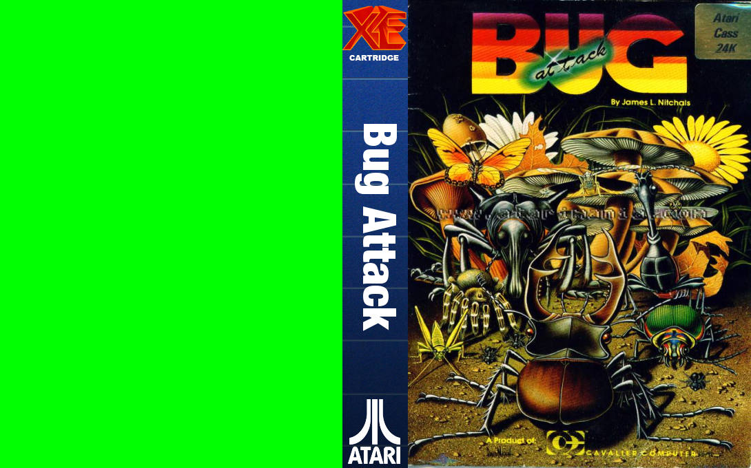Bug Attack — box-texture (WOR)
