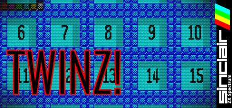 Twinz! — steamgrid