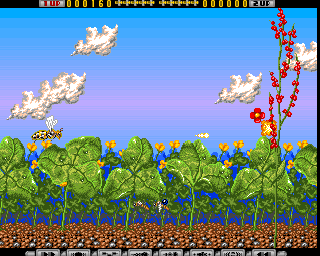 Apidya — ss (WOR)