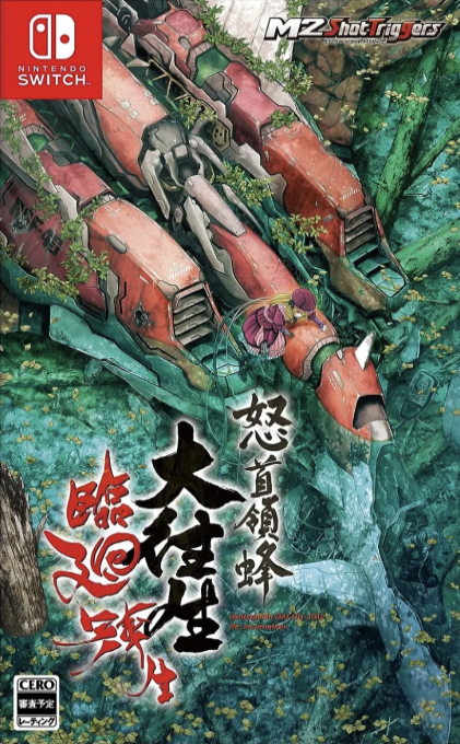 DoDonPachi Blissful Death Re -Incarnation box art