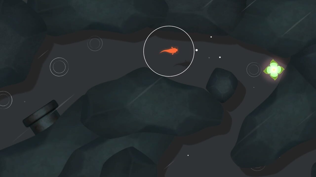 Koi — screenshot (WOR)