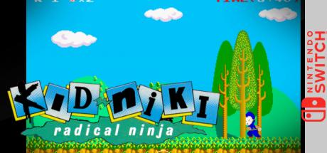 Arcade Archives Kid Niki Radical Ninja — steamgrid