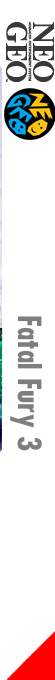Fatal Fury 3 - Road To The Final Victory! — box-2D-side (FR)