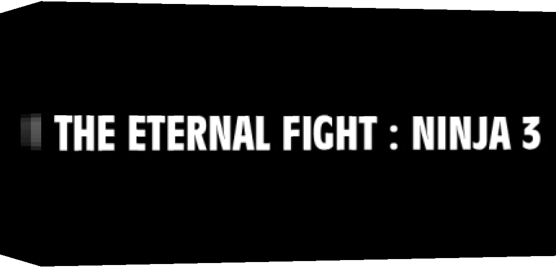 Eternal Fight : Ninja 3, The — box-3D (WOR)