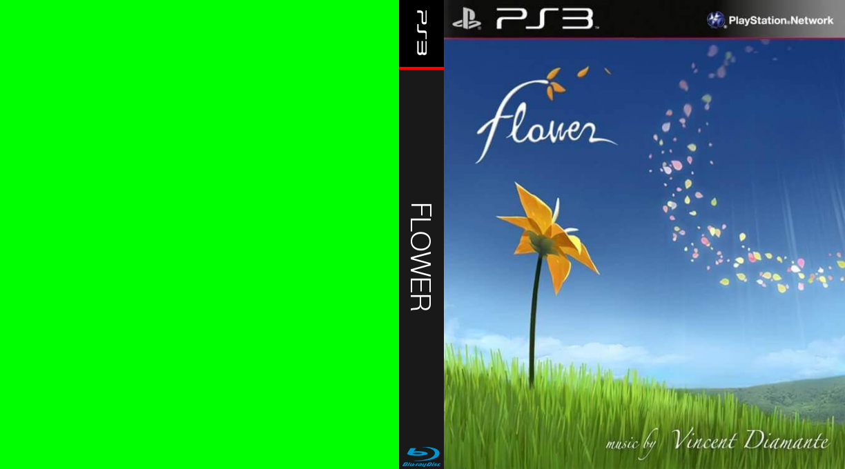 Flower — box-texture (WOR)