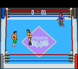 Gekitou Burning Pro Wres — ss (JP)
